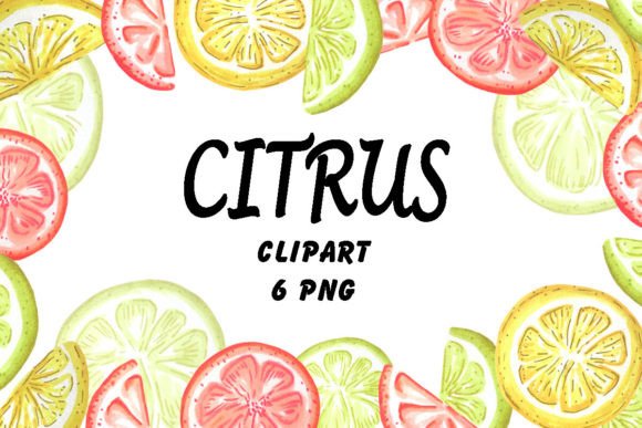 Bringing Freshness to Design: The Art of Citrus Marker Clipart