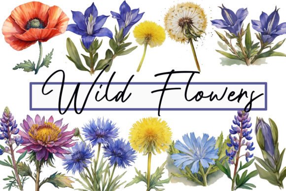 Watercolor Wildflowers Clipart for Designers